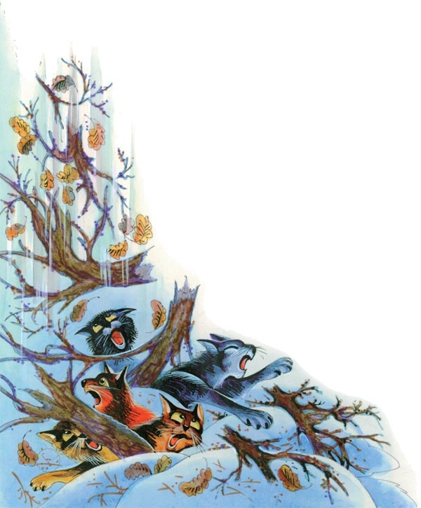 Иллюстрация к книге — Закон племен [pic_17.jpg]