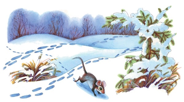 Иллюстрация к книге — Закон племен [pic_18.jpg]