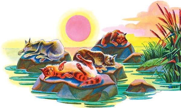 Иллюстрация к книге — Закон племен [pic_23.jpg]