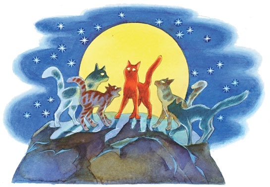 Иллюстрация к книге — Закон племен [pic_3.jpg]