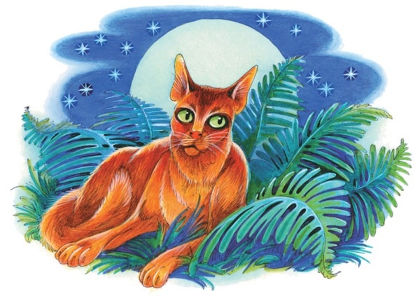 Иллюстрация к книге — Закон племен [pic_42.jpg]