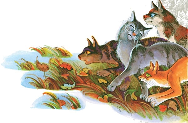 Иллюстрация к книге — Закон племен [pic_55.jpg]