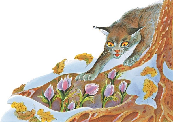 Иллюстрация к книге — Закон племен [pic_57.jpg]