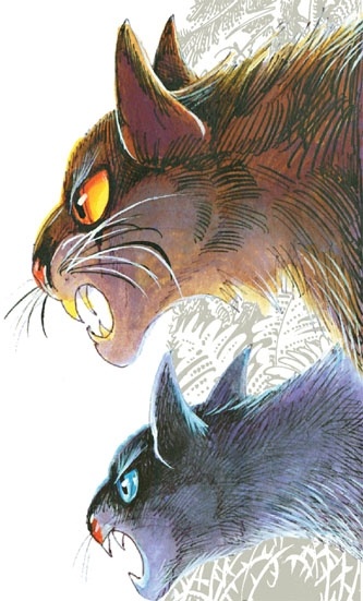 Иллюстрация к книге — Закон племен [pic_66.jpg]