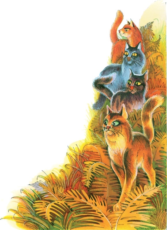 Иллюстрация к книге — Закон племен [pic_70.jpg]