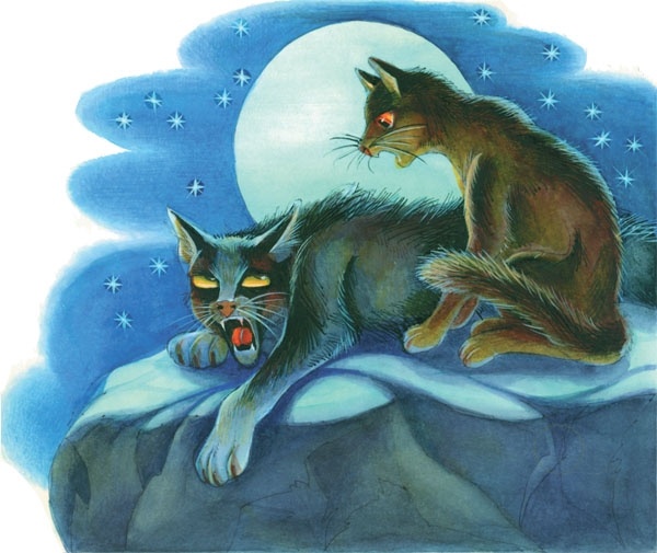 Иллюстрация к книге — Закон племен [pic_84.jpg]