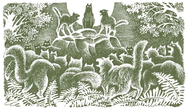 Иллюстрация к книге — Закон племен [pic_85.jpg]