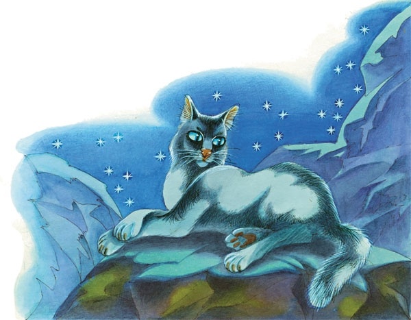 Иллюстрация к книге — Закон племен [pic_86.jpg]