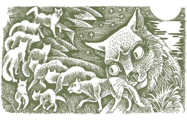 Иллюстрация к книге — Закон племен [pic_87.jpg]