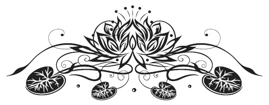 Иллюстрация к книге — Как достигать желаемого силой мысли [i_003.jpg]