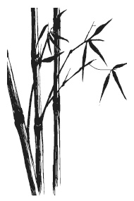 Иллюстрация к книге — Как достигать желаемого силой мысли [i_027.jpg]