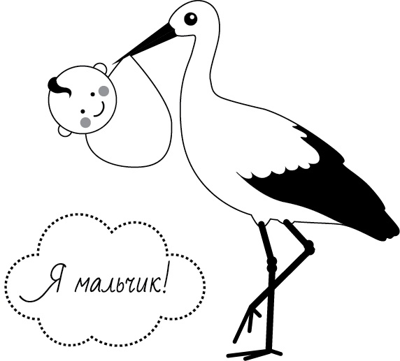 Иллюстрация к книге — Я - будущая мама! Беременность, роды и первый год жизни ребенка [i_010.jpg]