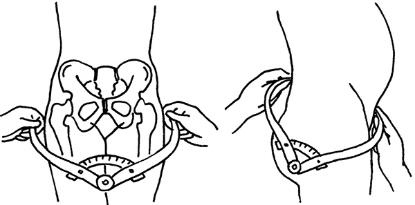 Иллюстрация к книге — Я - будущая мама! Беременность, роды и первый год жизни ребенка [i_012.jpg]