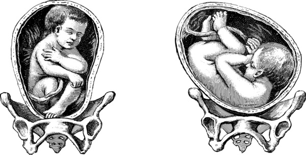 Иллюстрация к книге — Я - будущая мама! Беременность, роды и первый год жизни ребенка [i_029.jpg]