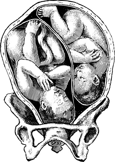 Иллюстрация к книге — Я - будущая мама! Беременность, роды и первый год жизни ребенка [i_030.jpg]