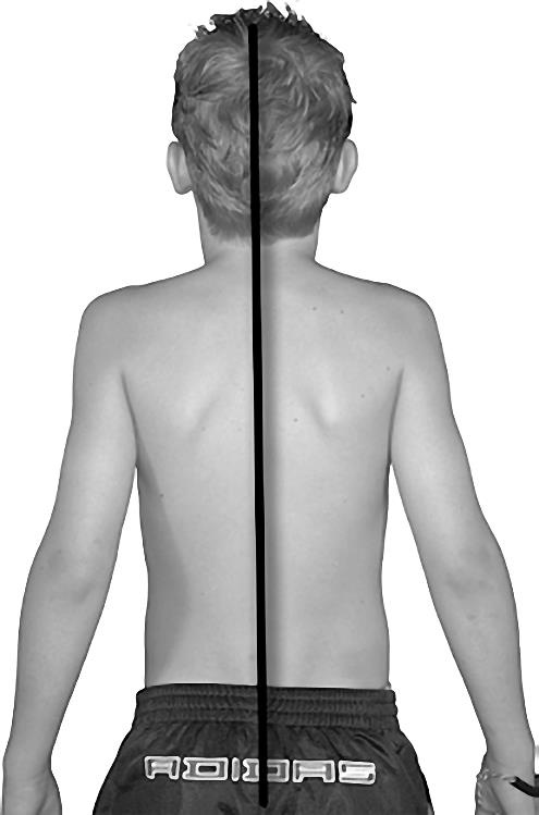 Иллюстрация к книге — Эмоциональный код исцеления. Подсознание лечит любую болезнь! [i_024.jpg]