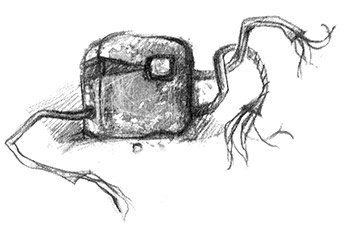 Иллюстрация к книге — Дети дельфинов [i_015.jpg]