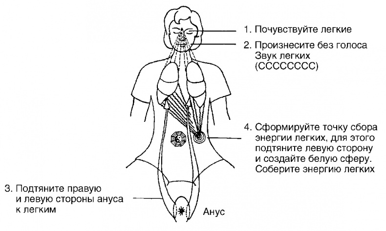 Иллюстрация к книге — Мысль творит реальность: вам подвластно ВСЁ [Autogen_eBook_id12.jpg]