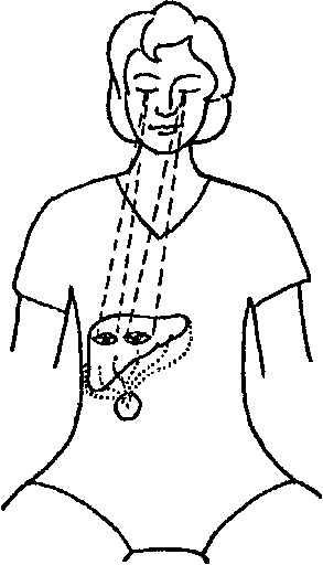 Иллюстрация к книге — Мысль творит реальность: вам подвластно ВСЁ [Autogen_eBook_id27.jpg]