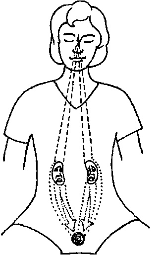 Иллюстрация к книге — Мысль творит реальность: вам подвластно ВСЁ [Autogen_eBook_id34.jpg]