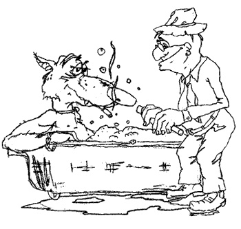 Иллюстрация к книге — Школа лентяев, или Тибетская оздоровительная гимнастика для внутренних органов [i_002.jpg]