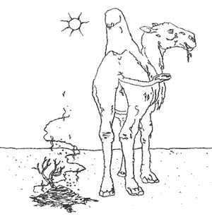 Иллюстрация к книге — Школа лентяев, или Тибетская оздоровительная гимнастика для внутренних органов [i_010.jpg]