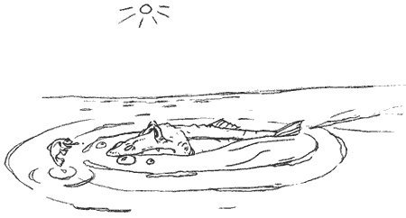 Иллюстрация к книге — Школа лентяев, или Тибетская оздоровительная гимнастика для внутренних органов [i_011.jpg]