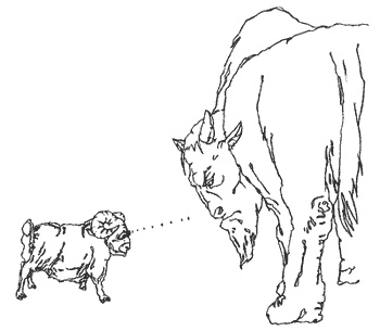 Иллюстрация к книге — Школа лентяев, или Тибетская оздоровительная гимнастика для внутренних органов [i_012.jpg]