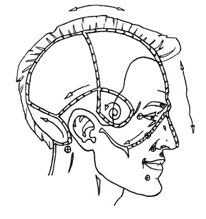 Иллюстрация к книге — Школа лентяев, или Тибетская оздоровительная гимнастика для внутренних органов [i_025.jpg]