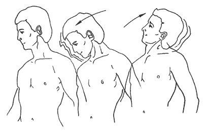 Иллюстрация к книге — Школа лентяев, или Тибетская оздоровительная гимнастика для внутренних органов [i_028.jpg]