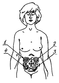 Иллюстрация к книге — Школа лентяев, или Тибетская оздоровительная гимнастика для внутренних органов [i_031.jpg]