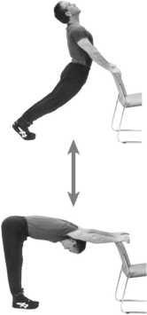 Иллюстрация к книге — Совершенное владение телом и разумом. Как добиться успеха в спорте и жизни [imgDE4E.jpg]