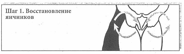 Иллюстрация к книге — Сексуальное учение Белой тигрицы. Секреты даосских наставниц [img_14.jpg]