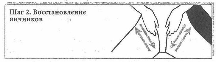 Иллюстрация к книге — Сексуальное учение Белой тигрицы. Секреты даосских наставниц [img_15.jpg]