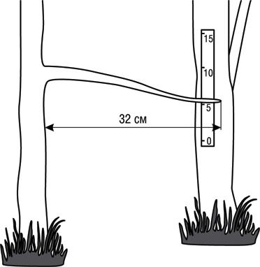 Иллюстрация к книге — Учебник по выживанию в экстремальных ситуациях [i_002.jpg]
