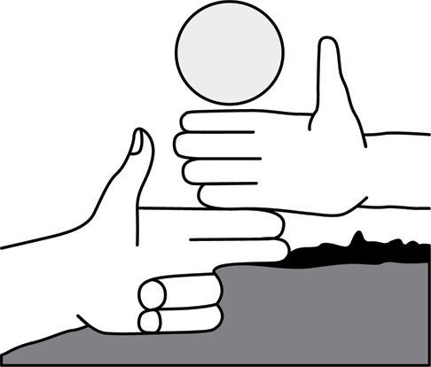 Иллюстрация к книге — Учебник по выживанию в экстремальных ситуациях [i_011.jpg]