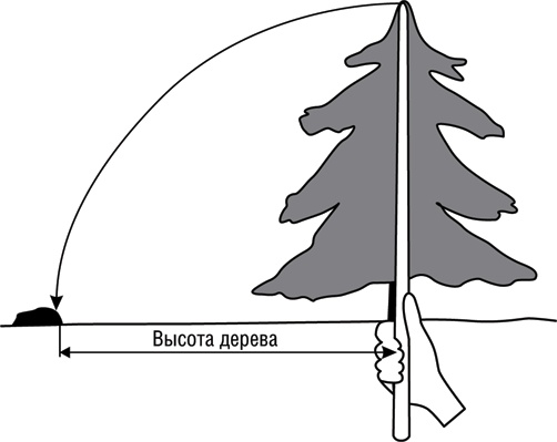 Иллюстрация к книге — Учебник по выживанию в экстремальных ситуациях [i_017.jpg]