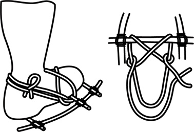 Иллюстрация к книге — Учебник по выживанию в экстремальных ситуациях [i_069.jpg]