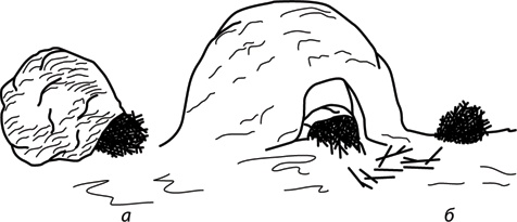 Иллюстрация к книге — Учебник по выживанию в экстремальных ситуациях [i_115.jpg]