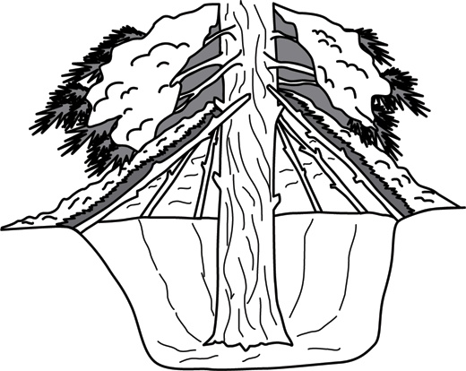 Иллюстрация к книге — Учебник по выживанию в экстремальных ситуациях [i_117.jpg]