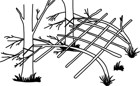 Иллюстрация к книге — Учебник по выживанию в экстремальных ситуациях [i_124.jpg]