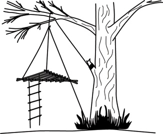 Иллюстрация к книге — Учебник по выживанию в экстремальных ситуациях [i_128.jpg]