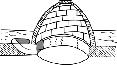 Иллюстрация к книге — Учебник по выживанию в экстремальных ситуациях [i_131.jpg]