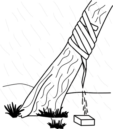 Иллюстрация к книге — Учебник по выживанию в экстремальных ситуациях [i_138.jpg]