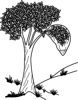 Иллюстрация к книге — Учебник по выживанию в экстремальных ситуациях [i_140.jpg]