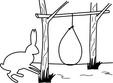 Иллюстрация к книге — Учебник по выживанию в экстремальных ситуациях [i_152.jpg]