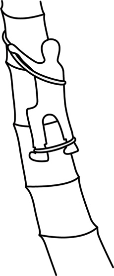 Иллюстрация к книге — Учебник по выживанию в экстремальных ситуациях [i_171.jpg]