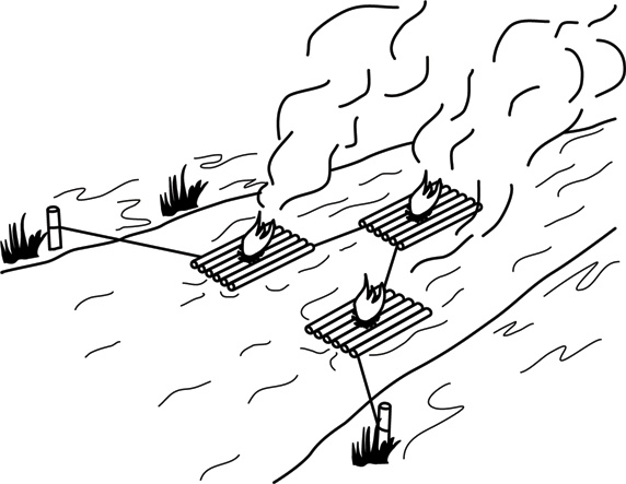 Иллюстрация к книге — Учебник по выживанию в экстремальных ситуациях [i_175.jpg]