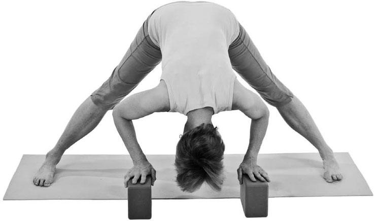 Иллюстрация к книге — Йога при остеопорозе [_131.jpg]