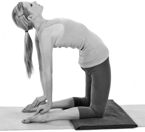 Иллюстрация к книге — Йога при остеопорозе [_152.jpg]